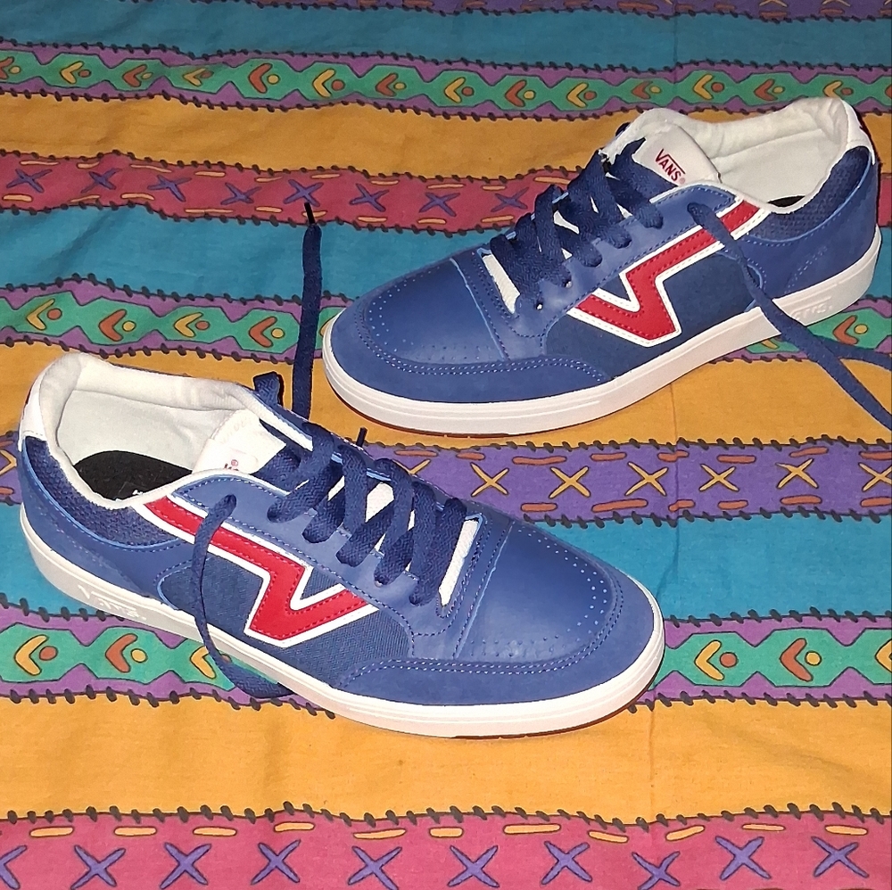Vans Blue Skateboard Shoes Skateboarding Sneakers Skateboard
